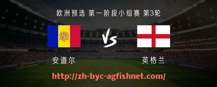 AG捕鱼王官网-哪些阿根廷球员选择去英超踢球？实力与发展分析