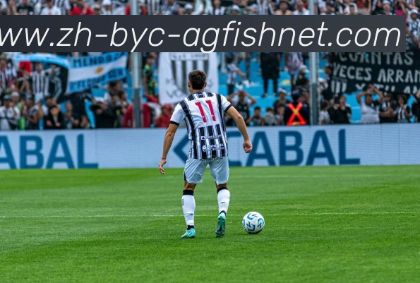 AG捕鱼王官网品牌故事