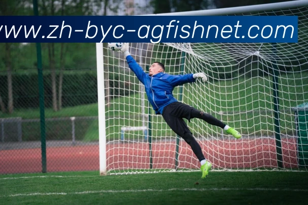 AG捕鱼王官网服务体系